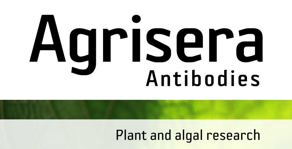 Agrisera MicroRNA相關(guān)研究植物蛋白抗體火熱促銷中！